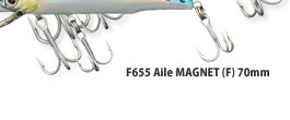 Aile MAGNET (F)